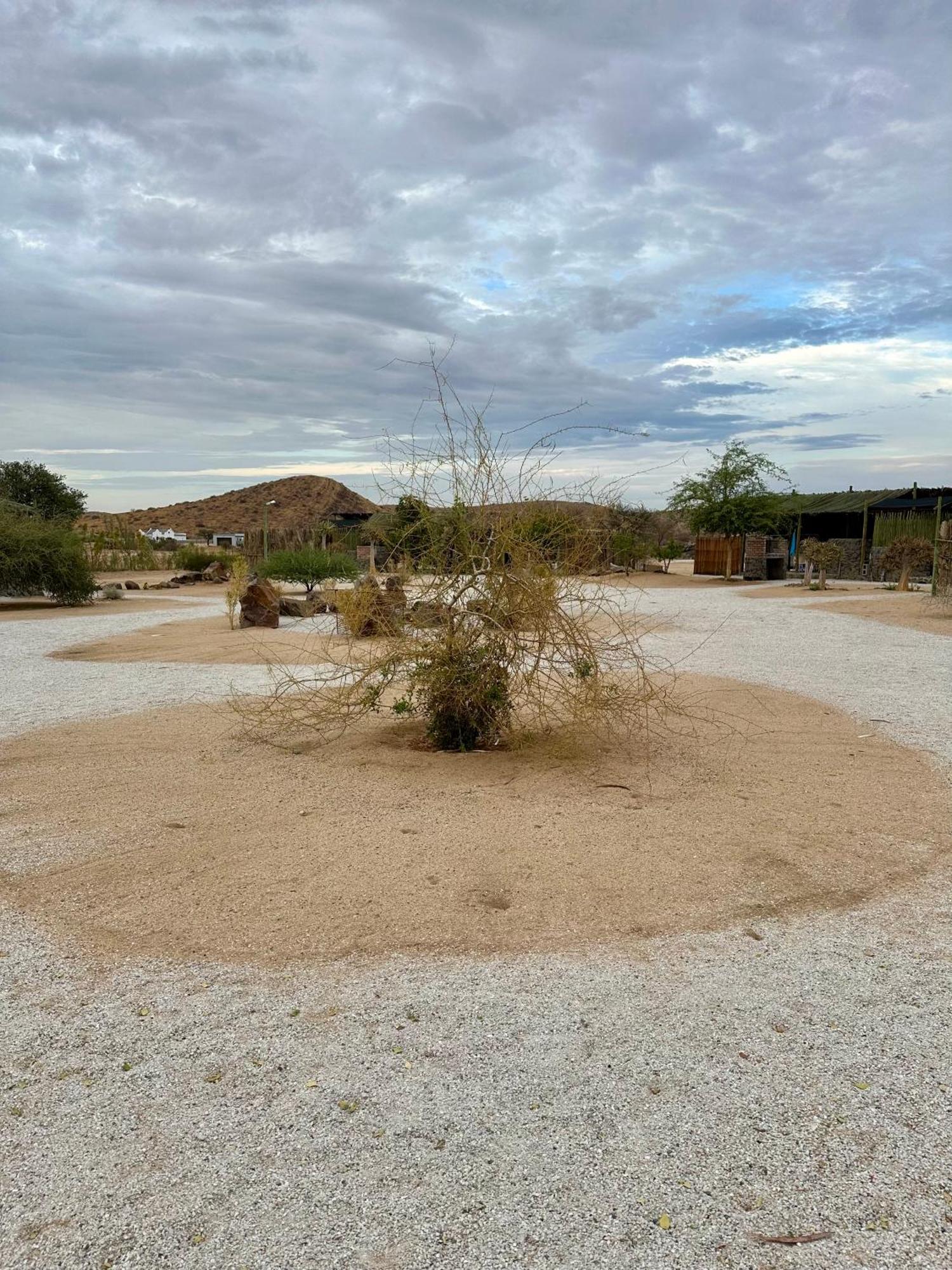Daureb Isib Campsite And B&B Uis Exterior foto