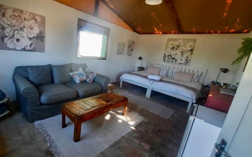 Daureb Isib Campsite And B&B Uis Exterior foto